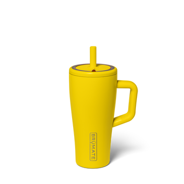 Era 20oz | Pineapple